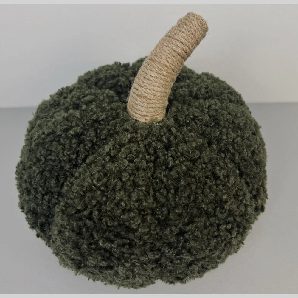 Pottery Barn Cozy Pumpkin Decorative Pillow Loden Green 5